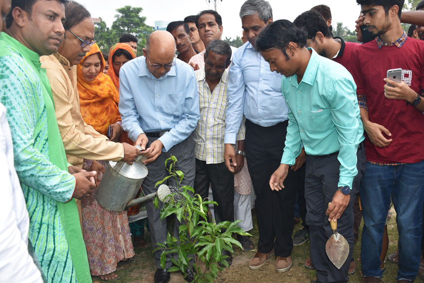 বরেন্দ্র বিশ্ববিদ্যালয় ও রাজশাহী সিটি কর্পোরেশন এর  যৌথ উদ্যেগে বৃক্ষরোপন কর্মসূচি পালিত 